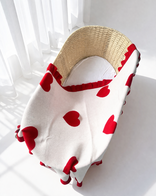 THE LITTLE LOVES BLANKET